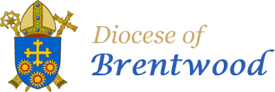 The Diocese of Brentwood website - Brentwood Catholic Youth Service